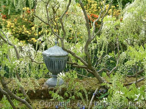 Wisteriawhiteurn 