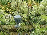 Wisteriawhiteurn