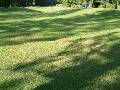 Lawn_sunandshade_2