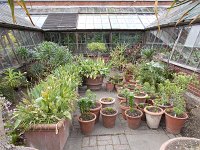 DSCN0054