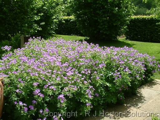 Sissinghurst_18 