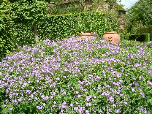 Sissinghurst_19 