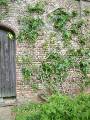 Sissinghurst_22