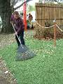 Raking